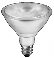 LED PAR Bulbs